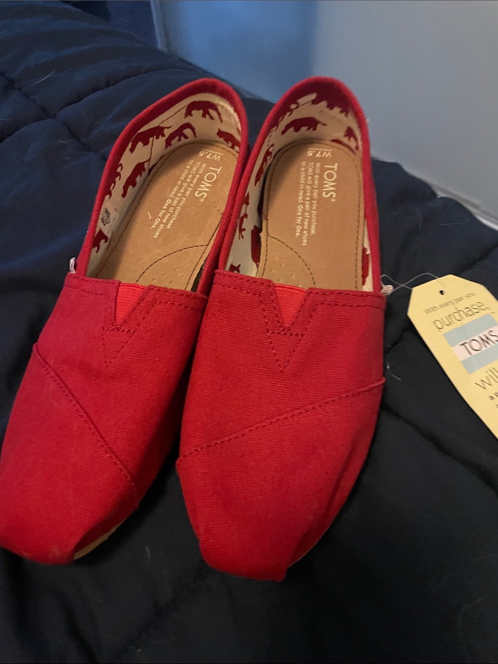 Toms Red Canvas Slip-On Shoes